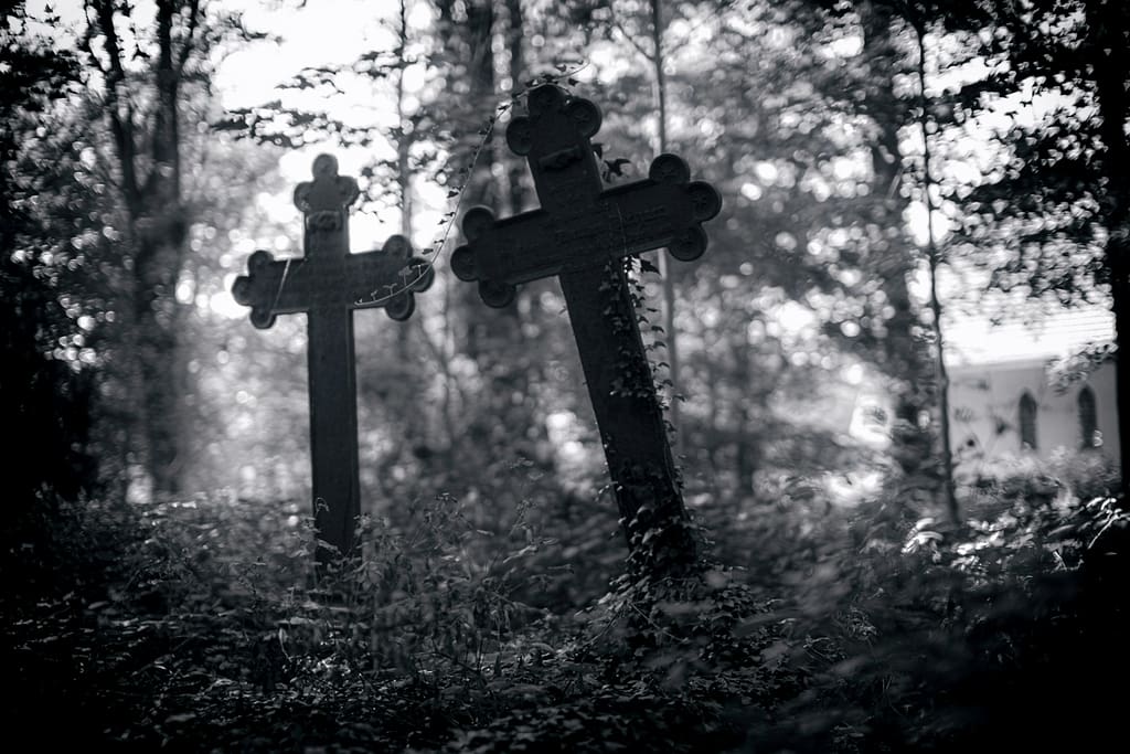a couple of crosses sitting in the middle of a forest to represent weird festivals in the UK
