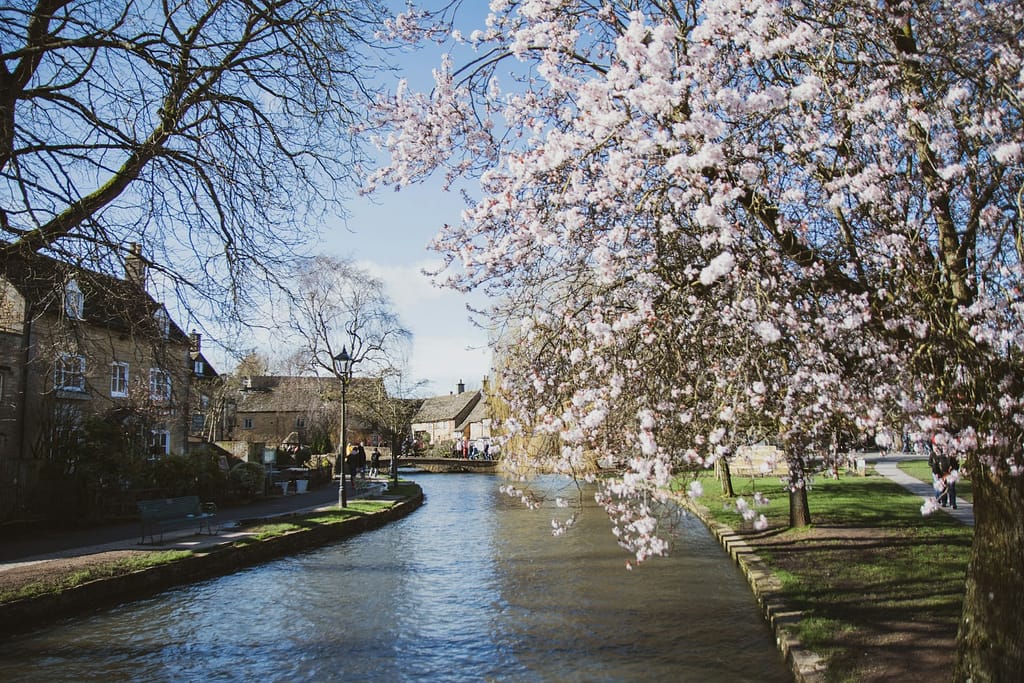 cottagecore things to do in the cotswolds white cherry blossom tree near river during daytime