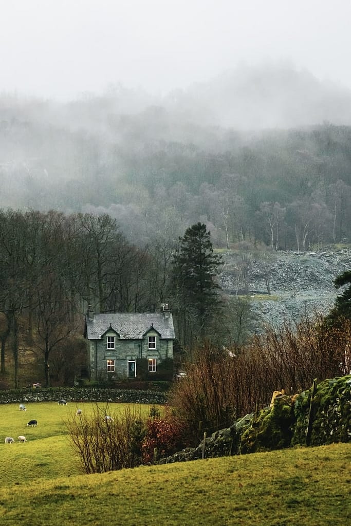 cottagecore places to stay in the UK house at forest surrounded with fog